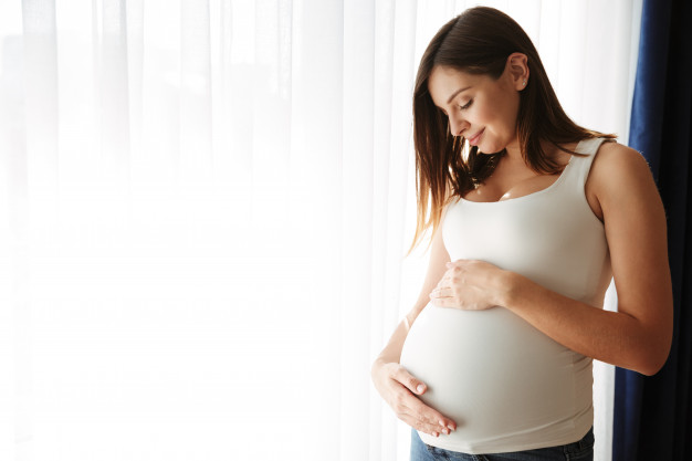 Nutrición en la mujer durante el embarazo Pt 1